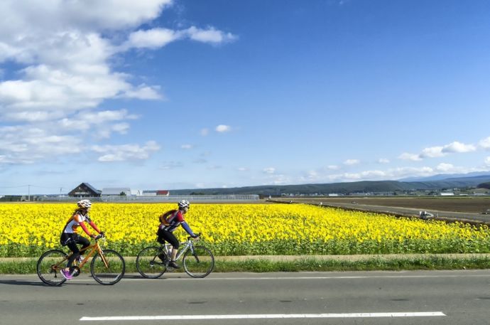 中富良野町でのサイクリング