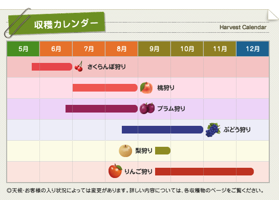 中込農園で収穫できる果物にはどういった種類がありますか？