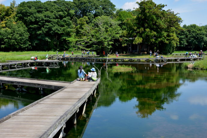 神奈川県中井町の厳島湿生公園の課外授業のようす