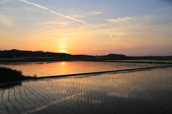 中間市の夕暮れの田園風景