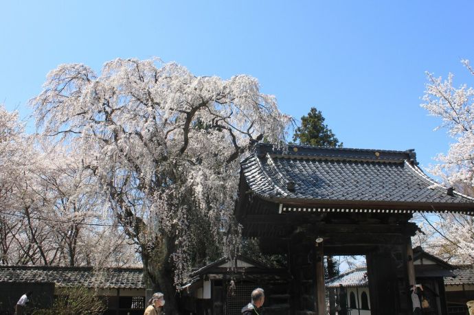 中野市の谷厳寺