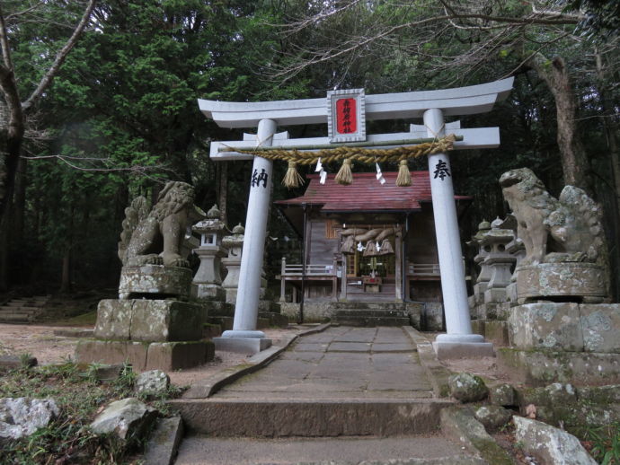 趣のある赤猪岩神社