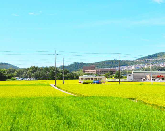 南国市中心市街地