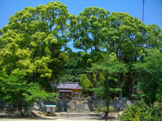 佐賀県佐賀市にある縁結びの男女神社