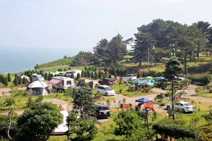 天神岬スポーツ公園のオートキャンプ場