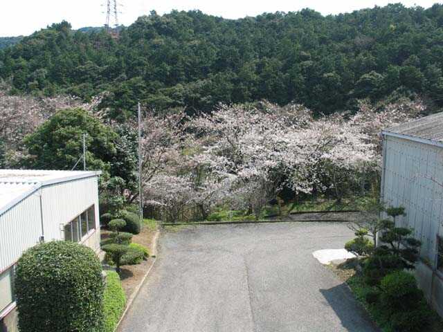 鳴滝酒造事務所前