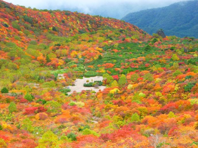 紅葉の時期の姥ヶ平