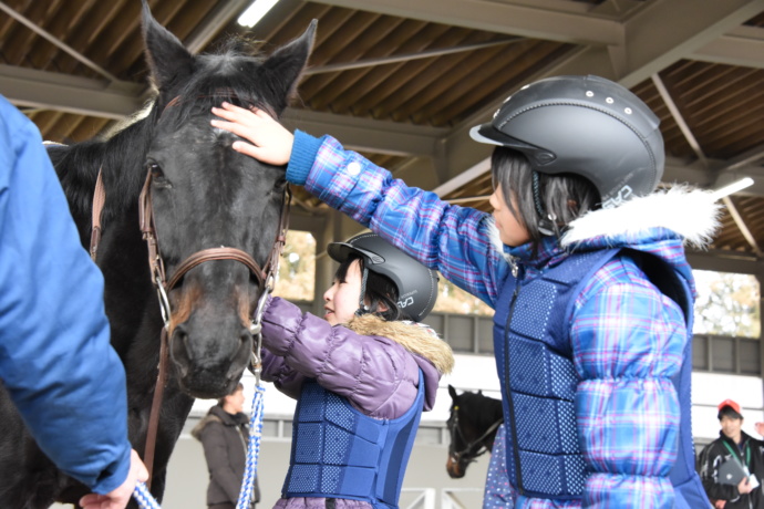 馬とふれ合う子ども達