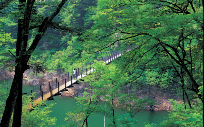 回顧の吊橋の風景