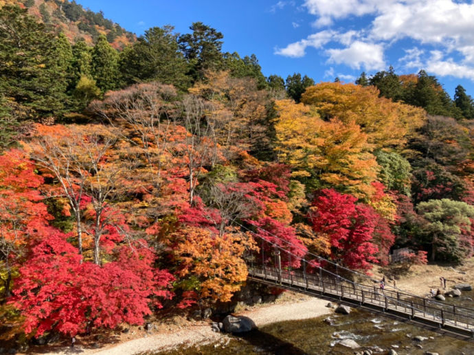 那須塩原市の「紅の吊橋」