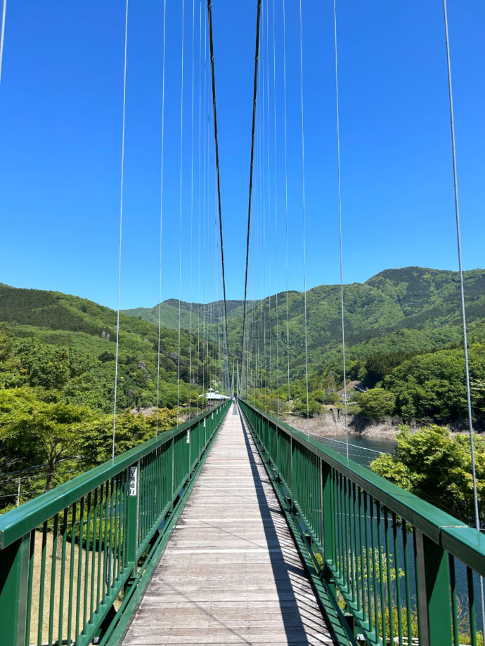 もみじ谷大吊橋と新緑