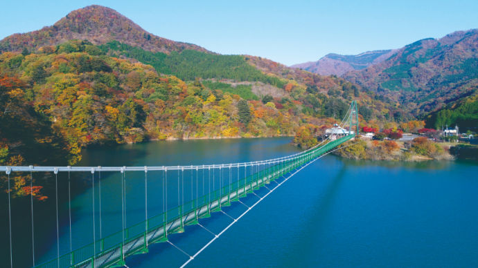 もみじ谷大吊橋と紅葉