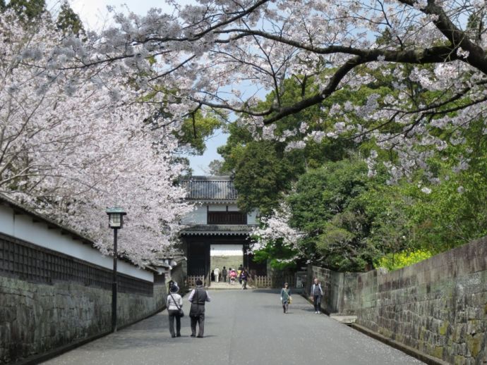 飫肥城大手門