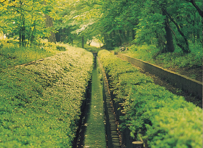 野火止用水