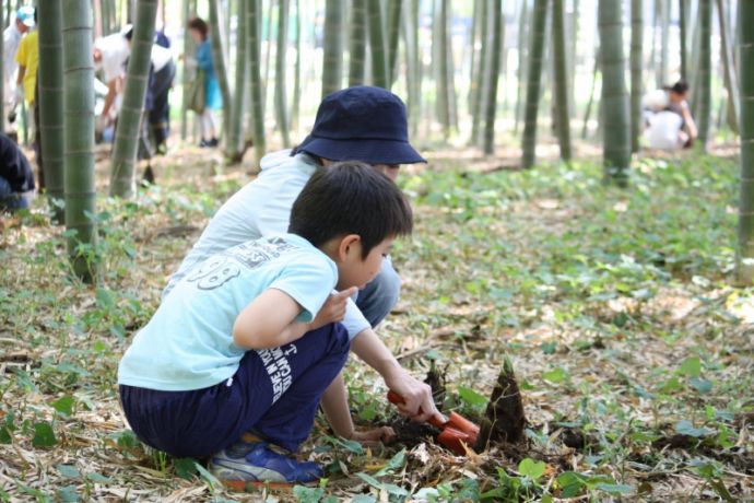 タケノコ掘り体験をする子どもと大人