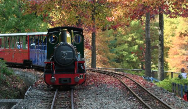 紅葉シーズンの「修善寺 虹の郷」内を運行する蒸気機関車