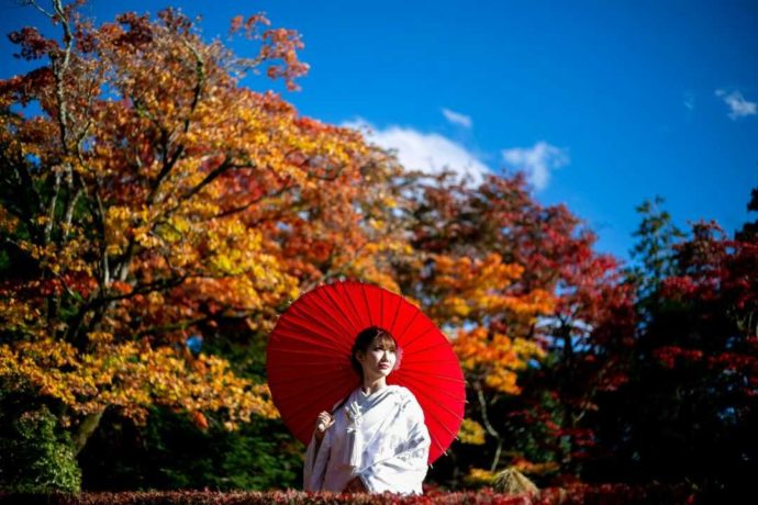 日光山輪王寺逍遥園で写真撮影に臨む花嫁