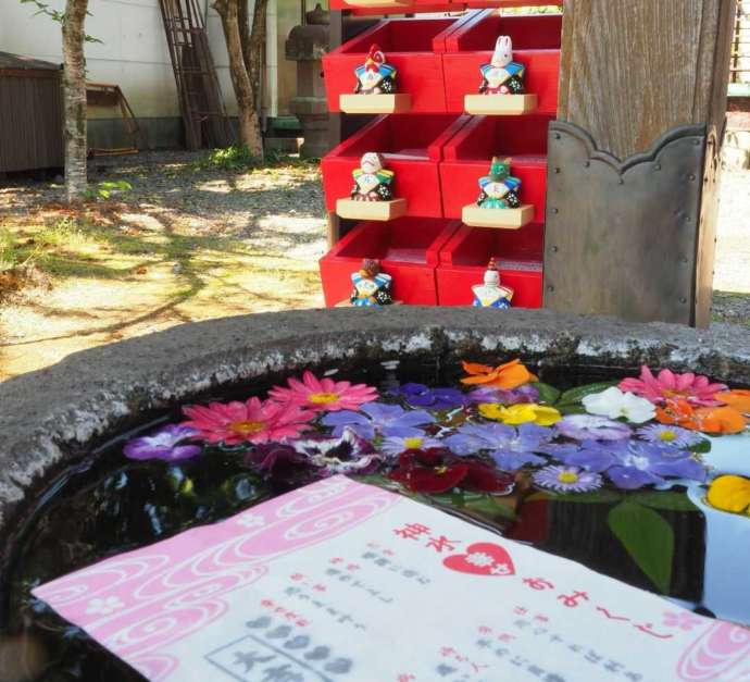 報徳二宮神社の神水みくじと納める箱