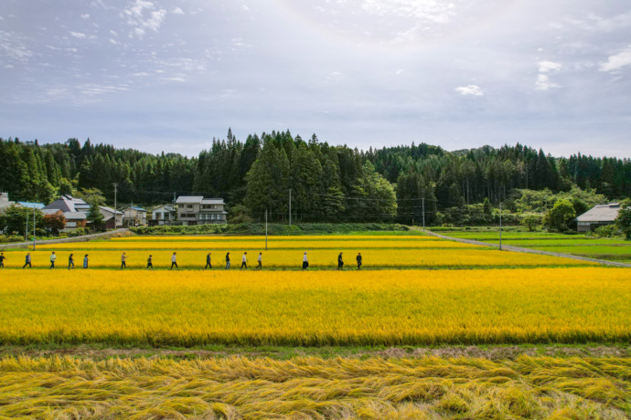 福島県西会津町の田んぼ