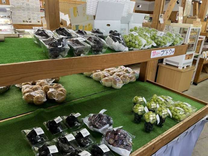 熊本県球磨郡の「道の駅 錦」にあるぶどう販売コーナー