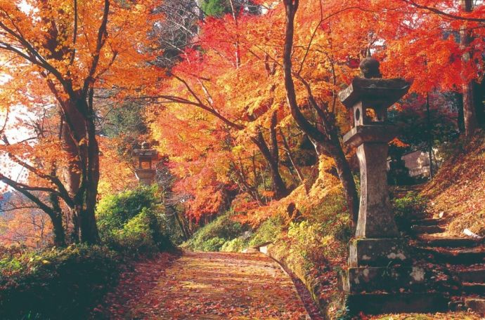 新宮禪寺の紅葉