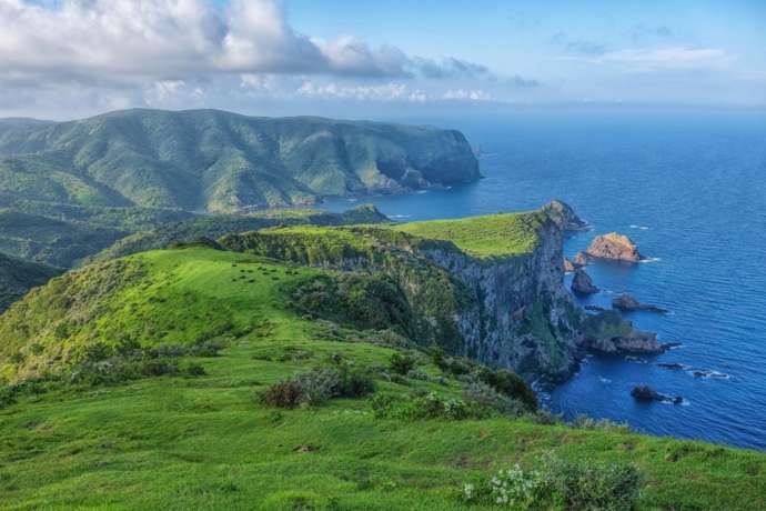 摩天崖の草地と、眼下に広がる海