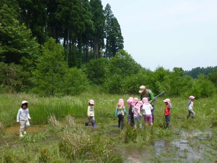 田んぼで活動する子ども達の様子