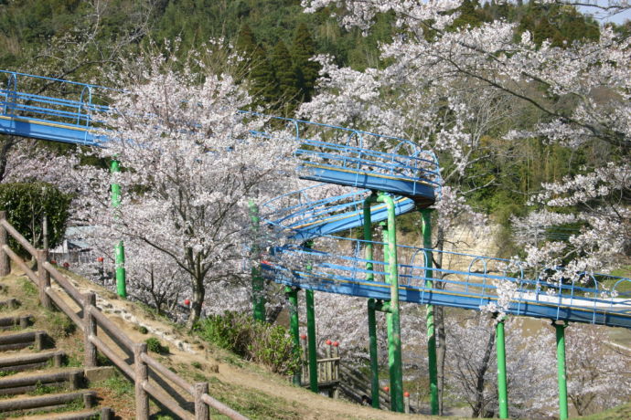 大網白里市の小中池公園」