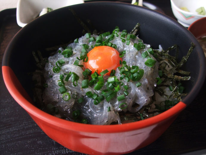 大洗町で食べられる生しらす丼