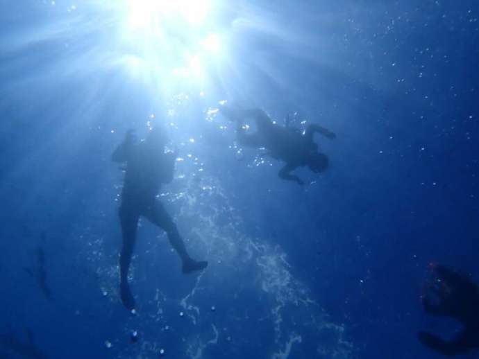 オーシャンガイズでシュノーケリング体験中の水中写真