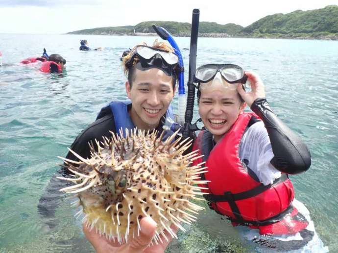 シュノーケルツアー中にハリセンボンを発見して笑うカップル