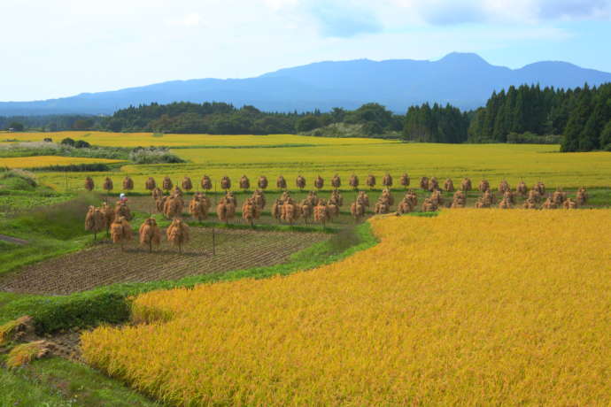 男鹿市内に広がる田園風景