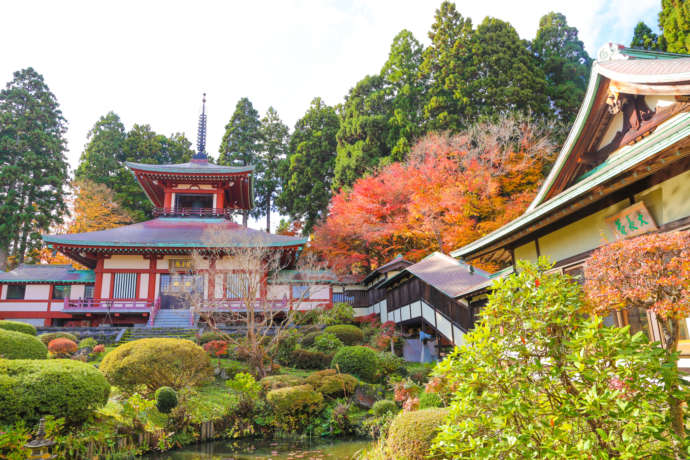 男鹿市にある大龍寺の紅葉