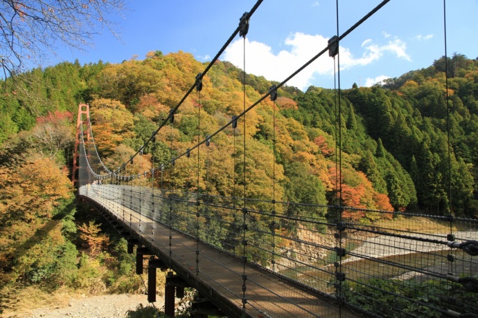 多良峡森林公園