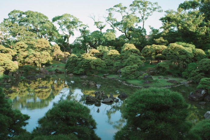 「柳川藩主立花邸 御花」の松濤園