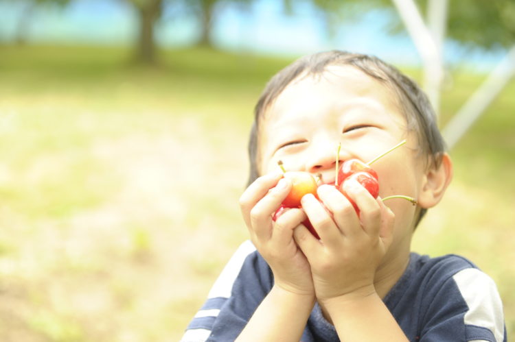 大橋さくらんぼ園の利用者からの感想