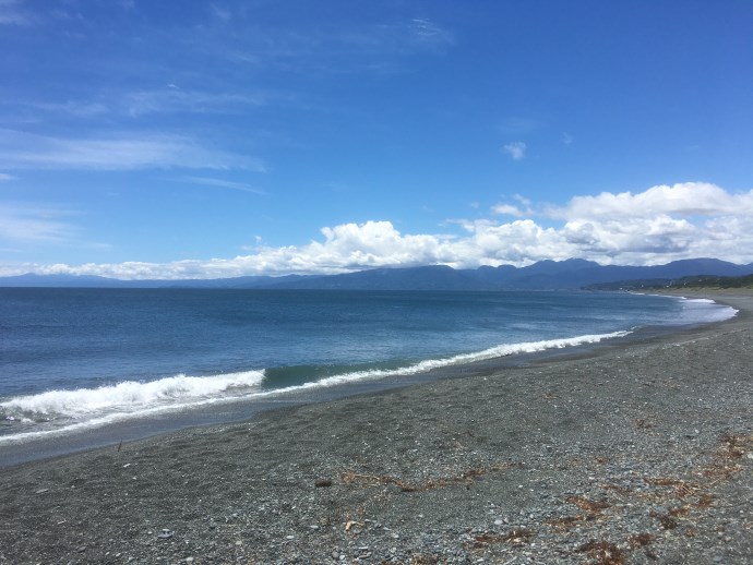 美しいこゆるぎ海岸の写真