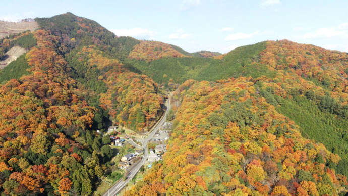 空から見た大岩山の紅葉風景