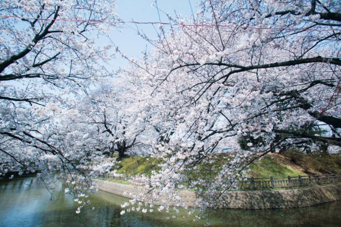 大泉町の城之内公園