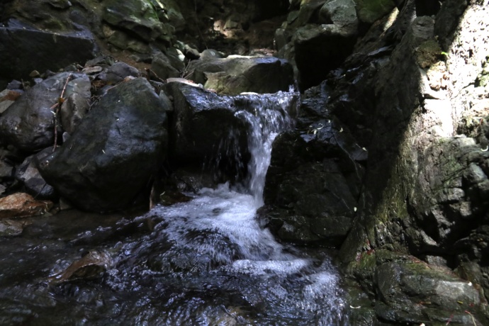 福岡県岡垣町の暮らしを支えている水源の写真