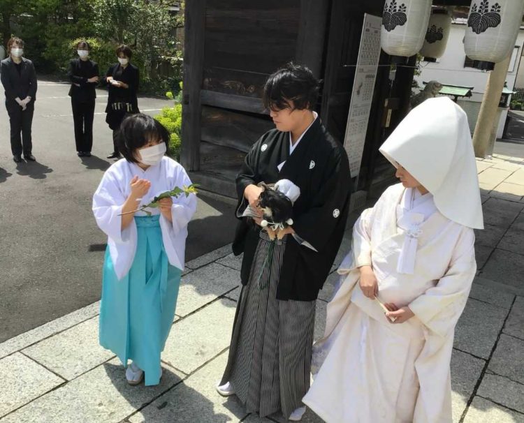 岡山神社で新郎新婦をサポートする禰宜