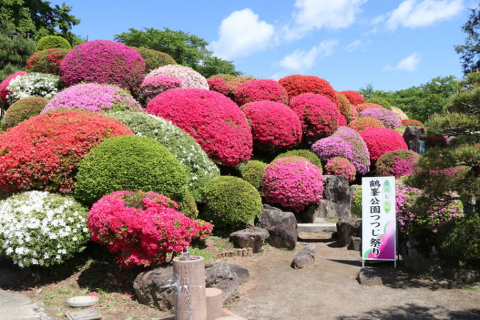 長野県岡谷市鶴峰公園つつじ祭りの様子