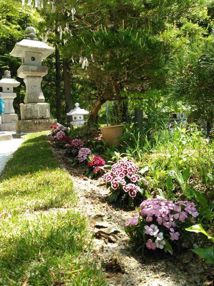 隠津島神社の拝殿