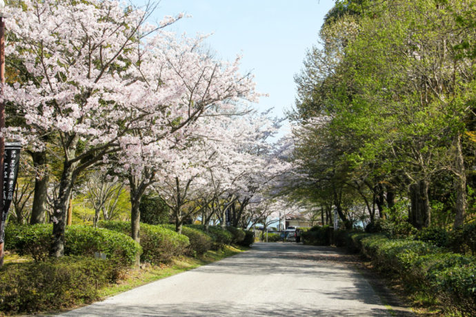 福岡県豊前市にある「天地山公園」