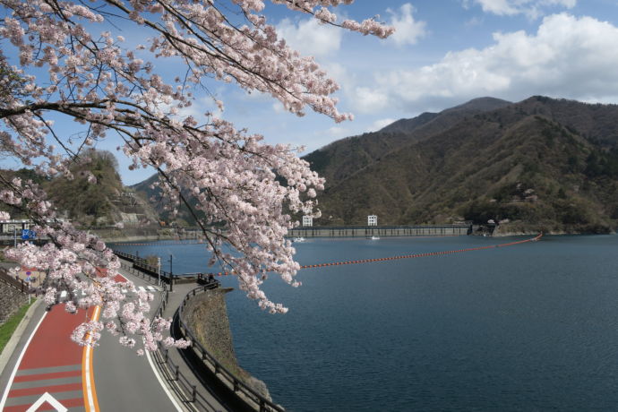 桜の季節の奥多摩湖