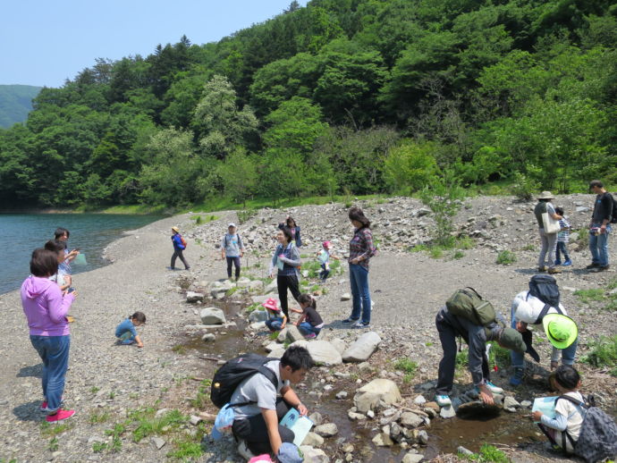 子ども達が河原で遊んでいる様子