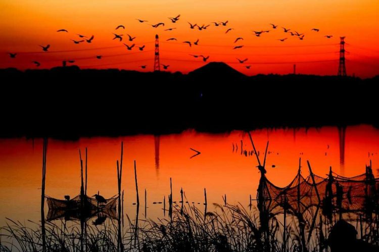 千葉県柏市にある「奥手賀ツーリズム Kingfisher Garden」で見られる手賀沼の夕景