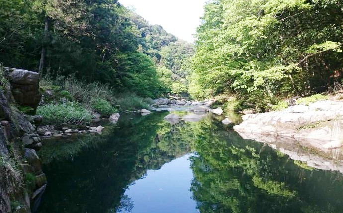 夏の奥津渓