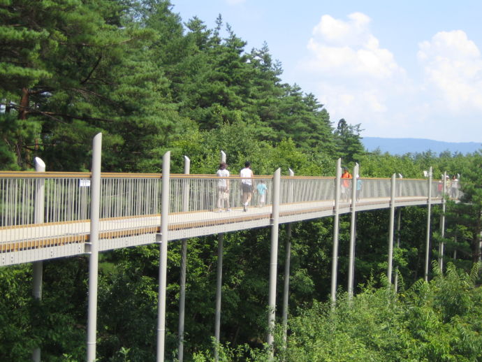 長野県大町市にある国営アルプスあづみの公園（大町・松川地区）の空中回廊