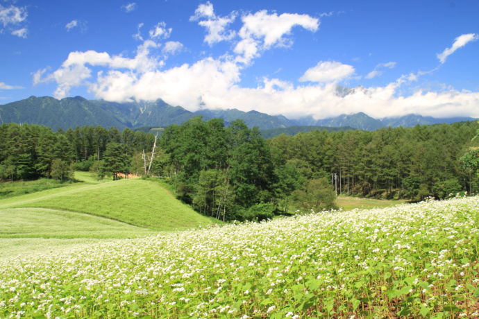 長野県大町市にある中山高原